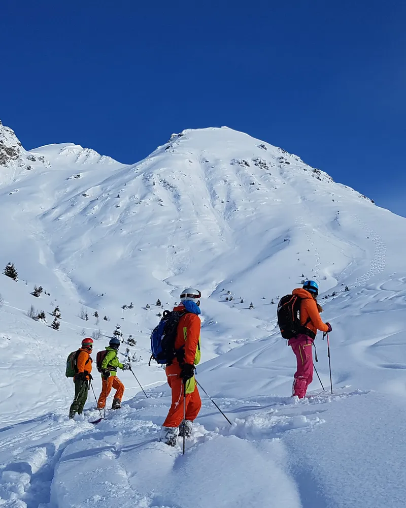 Group of skiers in fresh powder with alpine peaks in the background